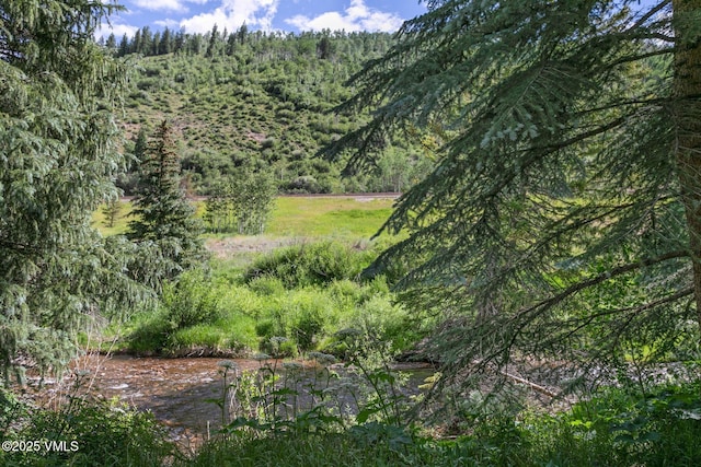 4610 Vail Racquet Club Dr Unit 2, Vail, CO 81657 - mountain view featuring a heavily wooded area