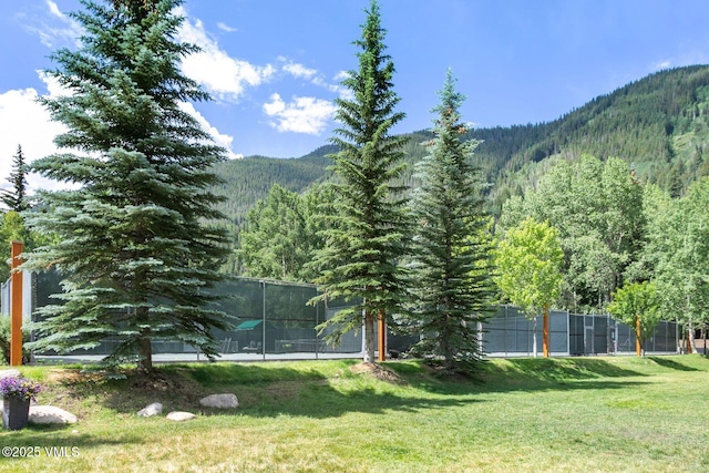 4610 Vail Racquet Club Dr Unit 2, Vail, CO 81657 - mountain view with a heavily wooded area