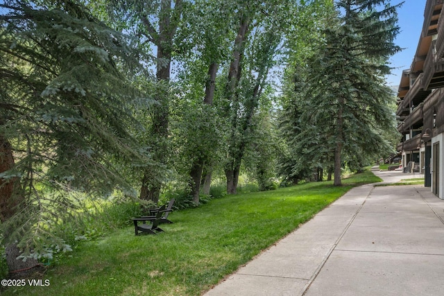 4610 Vail Racquet Club Dr Unit 2, Vail, CO 81657 - view of green lawn