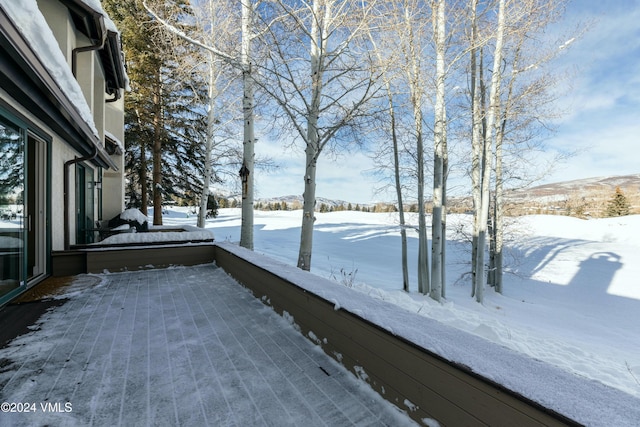 view of yard layered in snow