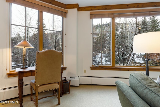 interior space featuring a healthy amount of sunlight and a baseboard heating unit