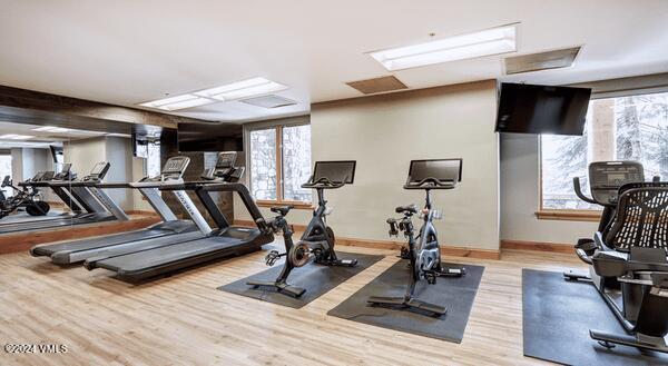 exercise room featuring hardwood / wood-style floors