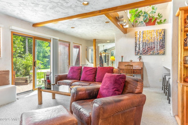 20 Hereford Rd, Edwards, CO 81632 - living room with carpet flooring and beam ceiling