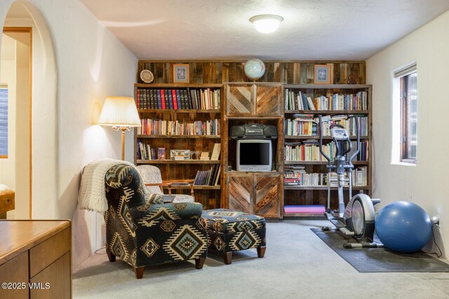 20 Hereford Rd, Edwards, CO 81632 - living area with carpet flooring and arched walkways