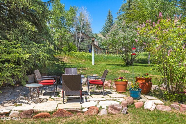 20 Hereford Rd, Edwards, CO 81632 - view of patio / terrace