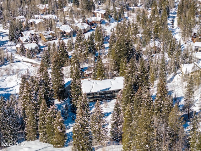 view of snowy aerial view