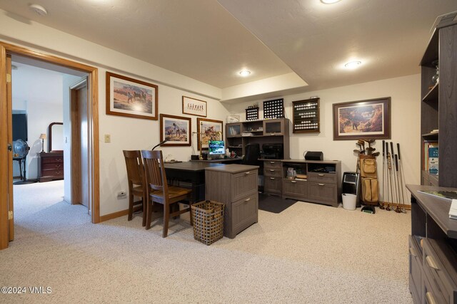 office featuring light colored carpet