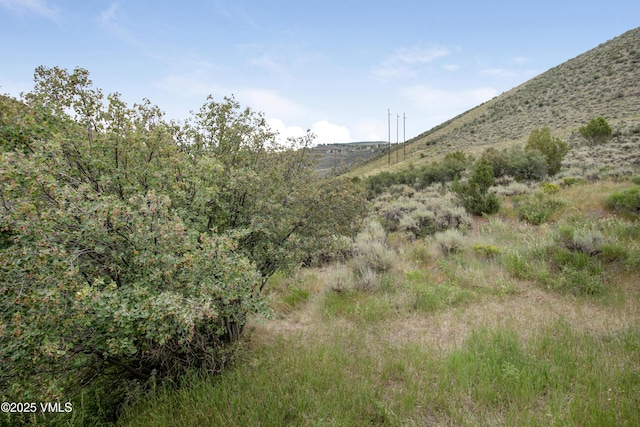 1161 June Creek Rd, Edwards, CO 81632 - photo 22