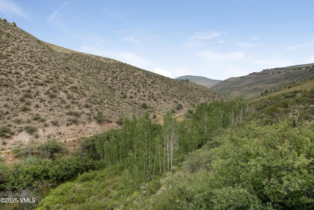 1161 June Creek Rd, Edwards, CO 81632 - photo 21