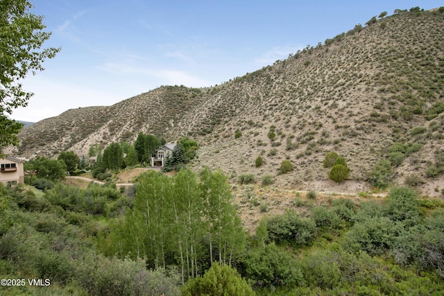 1161 June Creek Rd, Edwards, CO 81632 - photo 23