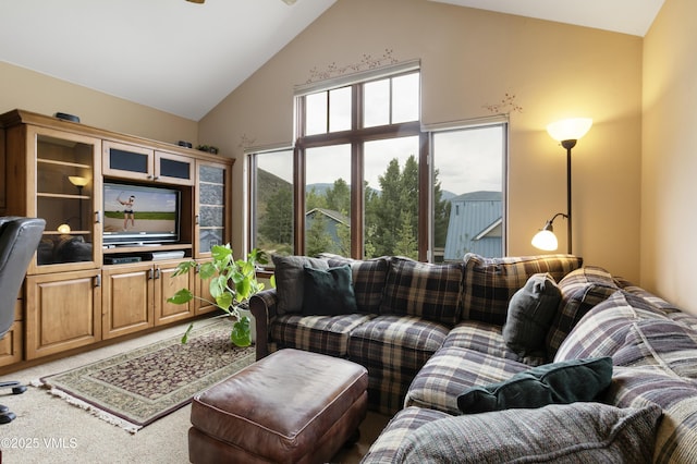 1161 June Creek Rd, Edwards, CO 81632 - photo 2