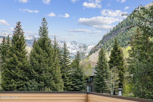 1650 Fallridge Rd Unit 120, Vail, CO 81657 - view of mountain background featuring a forest