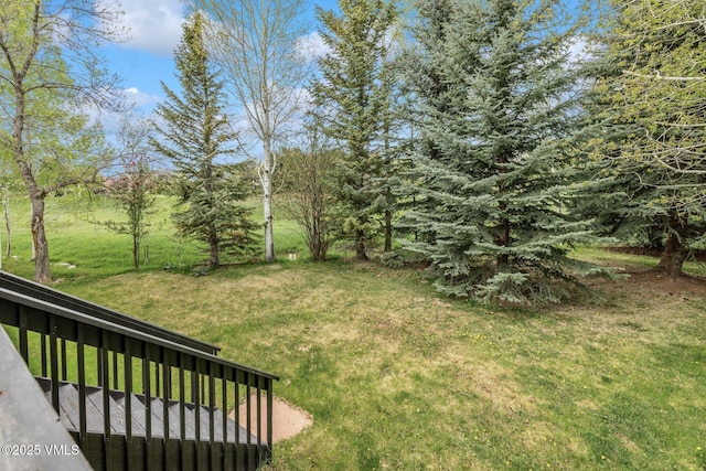 210 June Creek Rd Unit A, Edwards, CO 81632 - view of green lawn