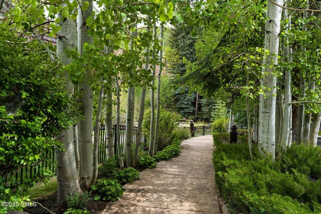660 Lionshead Pl Unit 9, Vail, CO 81657 - view of property's community