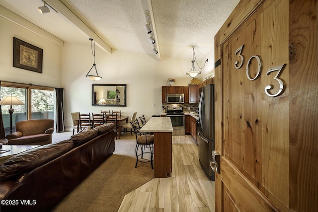 531 E Lionshead Cir Unit 303, Vail, CO 81657 - living room featuring a textured ceiling, track lighting, and light wood-style flooring