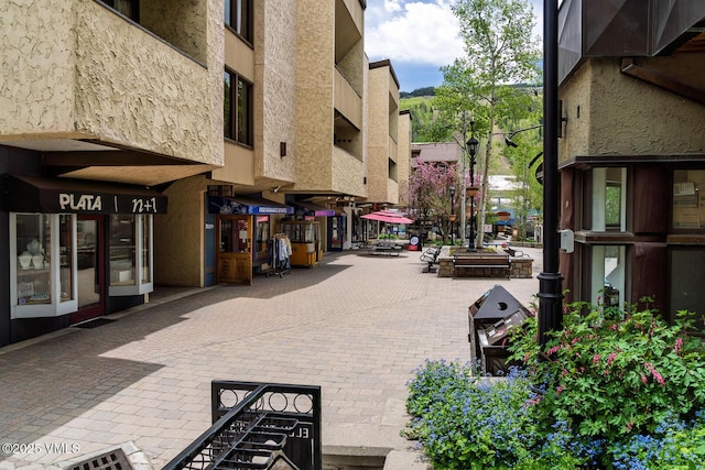 531 E Lionshead Cir Unit 303, Vail, CO 81657 - view of property's community