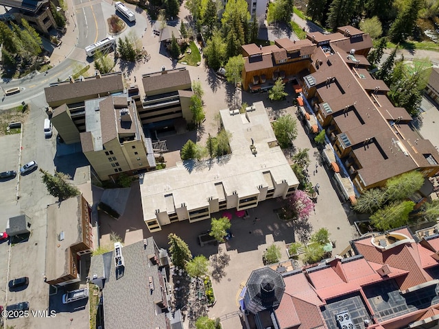 531 E Lionshead Cir Unit 303, Vail, CO 81657 - aerial overview of property's location