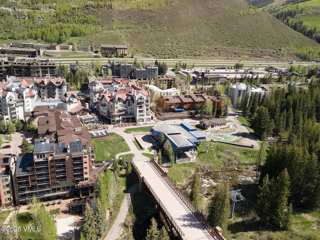531 E Lionshead Cir Unit 303, Vail, CO 81657 - drone / aerial view of a forest