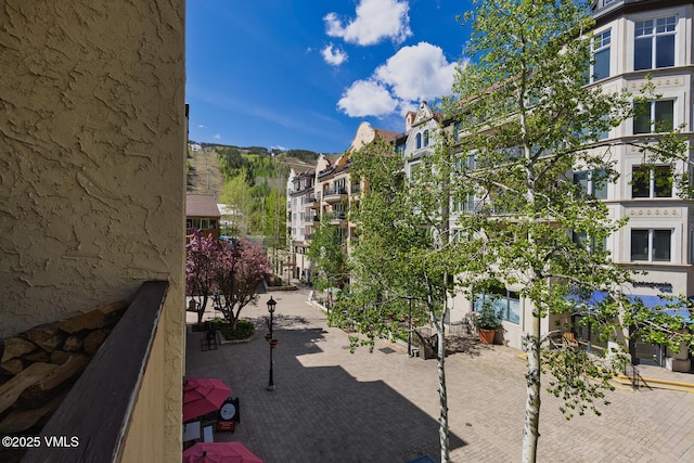 531 E Lionshead Cir Unit 303, Vail, CO 81657 - view of community