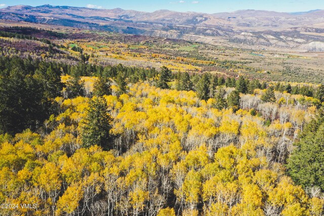 LOT1 Jouflas Ranches Rd, Wolcott, CO 81655 - photo 36