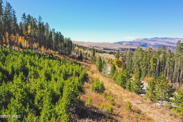 LOT1 Jouflas Ranches Rd, Wolcott, CO 81655 - photo 31