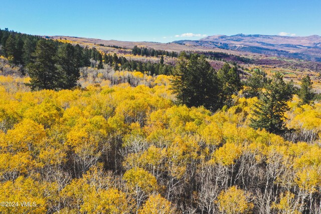 LOT1 Jouflas Ranches Rd, Wolcott, CO 81655 - photo 37
