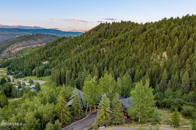 1122 Red Draw, Edwards, CO 81632 - photo 49