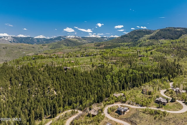 1122 Red Draw, Edwards, CO 81632 - photo 50