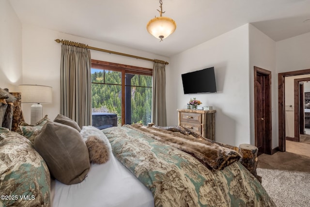1122 Red Draw, Edwards, CO 81632 - photo 47