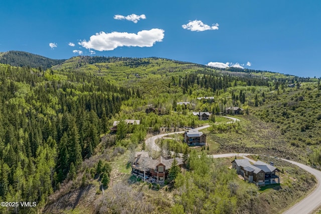 1122 Red Draw, Edwards, CO 81632 - photo 6