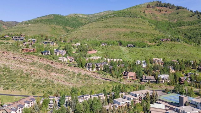 1230 Lions Ridge Loop Unit 2-D, Vail, CO 81657 - photo 3