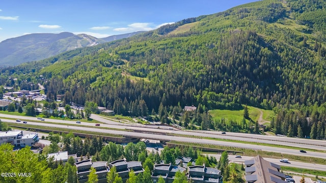 1230 Lions Ridge Loop Unit 2-D, Vail, CO 81657 - mountain view with a heavily wooded area