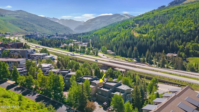 1230 Lions Ridge Loop Unit 2-D, Vail, CO 81657 - view of mountain backdrop featuring a forest