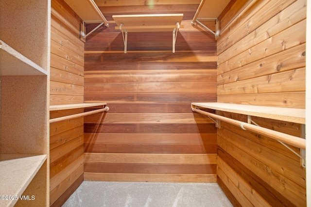 view of walk in closet