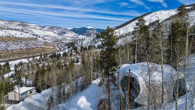 property view of mountains