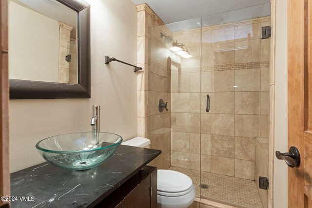 bathroom with vanity, toilet, and a shower with shower door