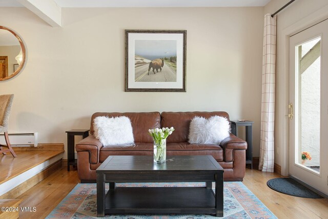 living room with hardwood / wood-style floors and a baseboard radiator