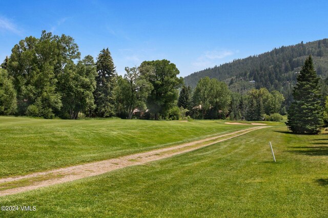 view of community with a yard