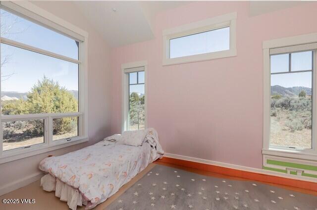 2682 E Haystacker Dr, Eagle, CO 81631 - bedroom featuring baseboards and vaulted ceiling