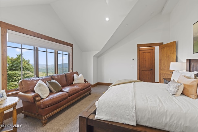 254 Pine Marten Way, Edwards, CO 81632 - photo 35