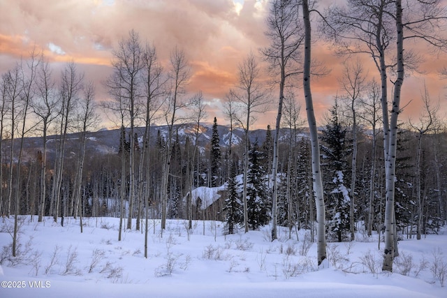 1724 Paintbrush, Avon, CO 81620 - mountain view