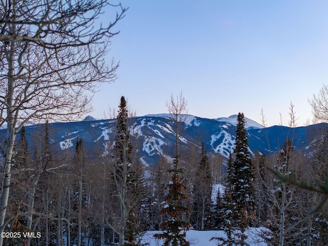 1724 Paintbrush, Avon, CO 81620 - mountain view