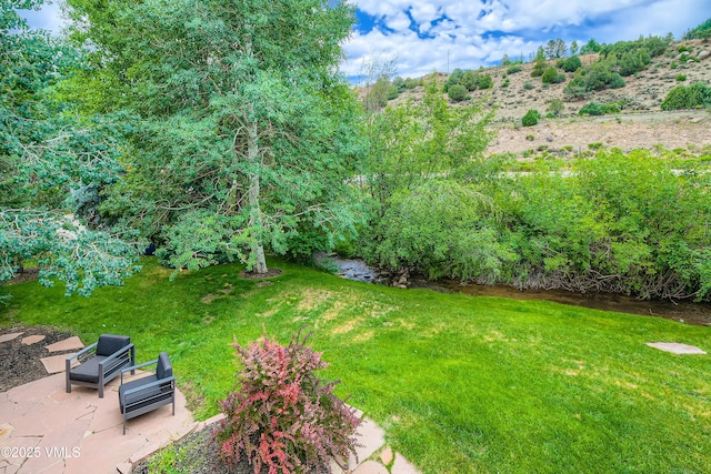 11 Spruce Cir, Edwards, CO 81632 - view of green lawn with a patio