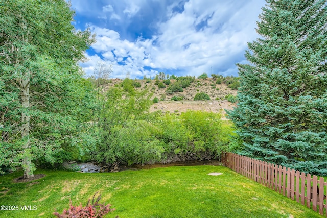 11 Spruce Cir, Edwards, CO 81632 - view of yard