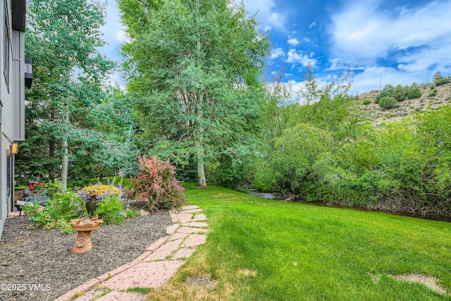 11 Spruce Cir, Edwards, CO 81632 - view of grassy yard