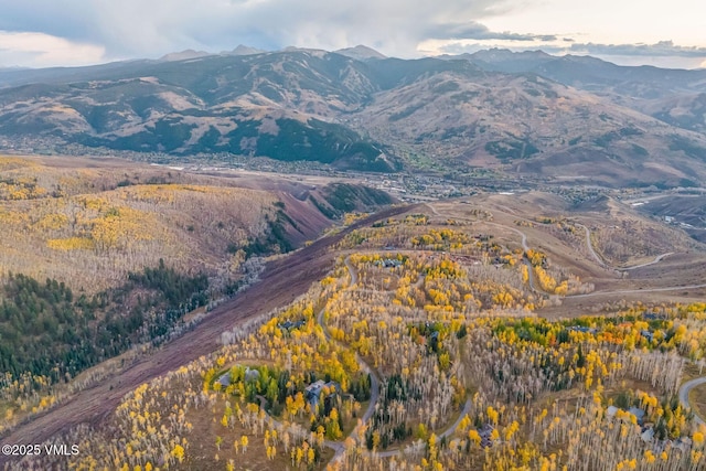 view of mountain feature