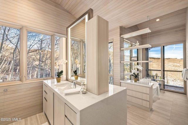 interior space featuring wood ceiling, wooden walls, and sink