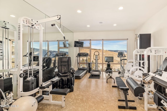 exercise room with a wealth of natural light