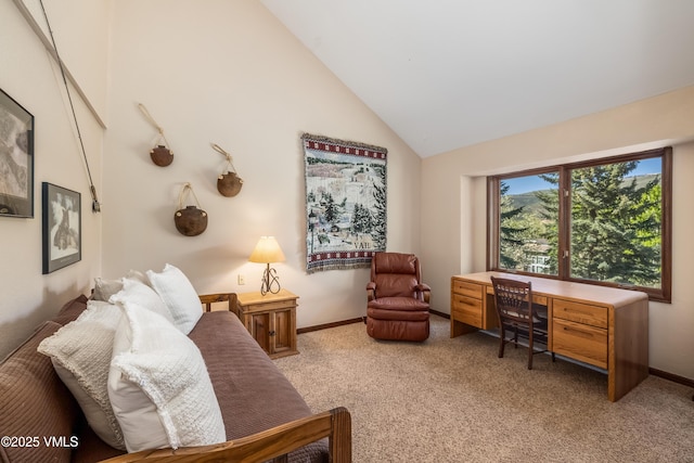 130 Grouse Ct Unit B, Avon, CO 81620 - office space featuring light carpet, high vaulted ceiling, and baseboards