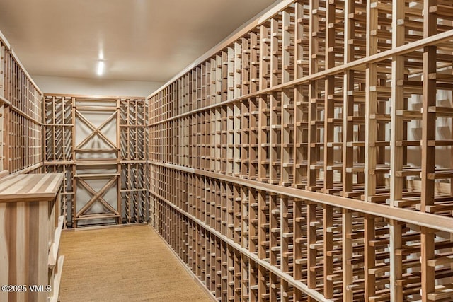 225 Eagle Crest Rd, Edwards, CO 81632 - wine room featuring carpet floors